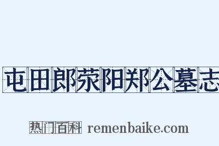 屯田郎荥阳郑公墓志是什么意思的图片